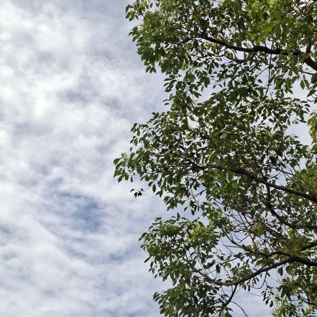 Fotos Cavalgando. Previsões do tempo com lindas fotos de Wen-ya Huang em Kaohsiung City