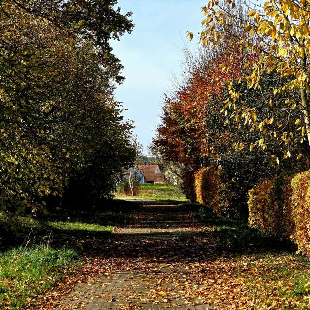 Jesen. Wettervorhersagen mit schönen Fotos von Hela Fotos Bayern