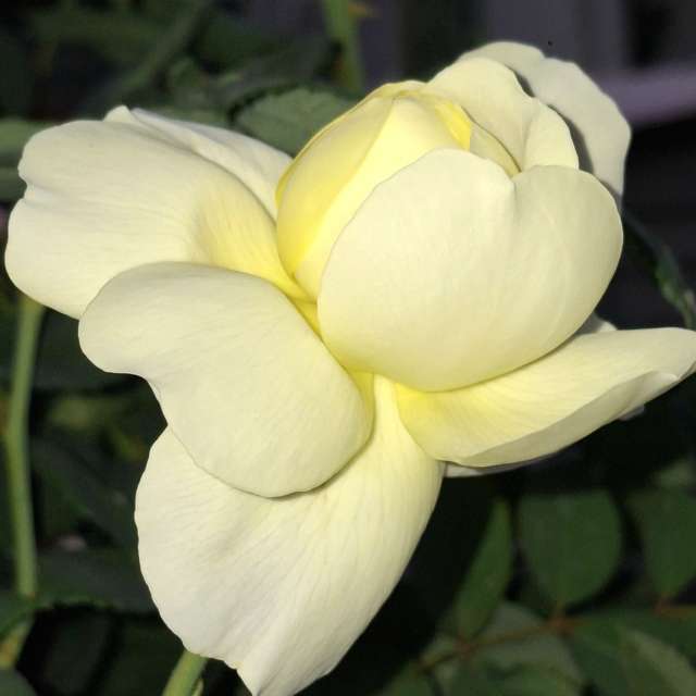 Filling. Weather forecasts with beautiful photos by Wen-ya Huang Photos in Kaohsiung City