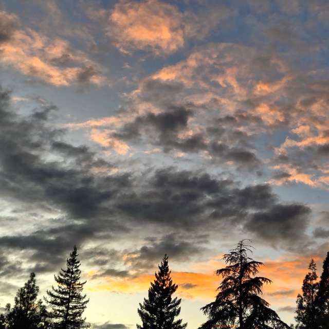 世界的天气照片. 天气预报，带Ghostroku精美的照片