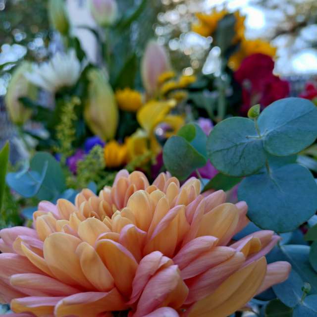 Прогнозы погоды с чудесными фотографиями, сделанными kon__miyuki