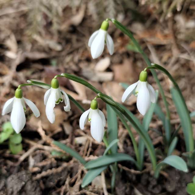 IvanaBの美しい写真による天気予報