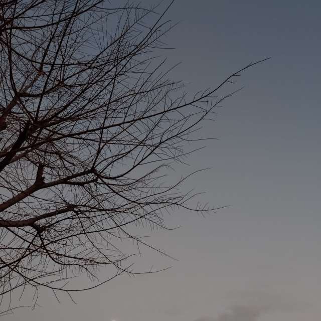 Прогнозы погоды с чудесными фотографиями, сделанными kon__miyuki