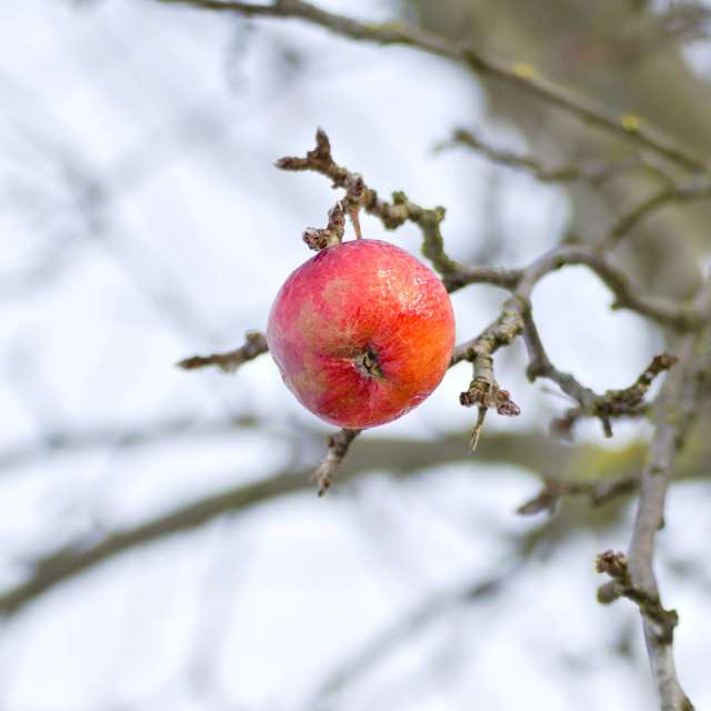 Tom44の美しい写真による天気予報