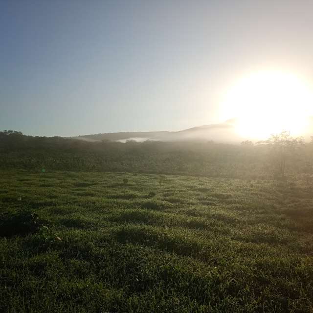Pasture. Weather forecasts with beautiful photos by Almir Cavalcante Photos in World