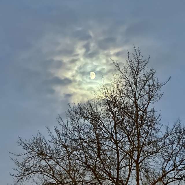 Weather forecasts with beautiful photos by Ritha