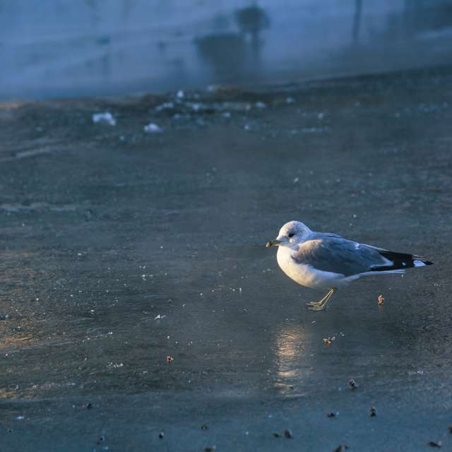 Прогнозы погоды с чудесными фотографиями, сделанными martinm611