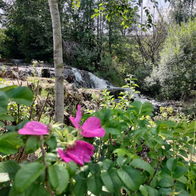 天气预报，带Lara357精美的照片