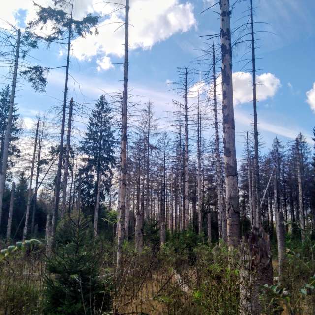 Glasmanの美しい写真による天気予報