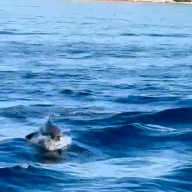 Prévisions météo avec de superbes photos de Am-b