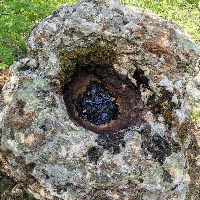 天气预报，带NikolayPaunchev精美的照片