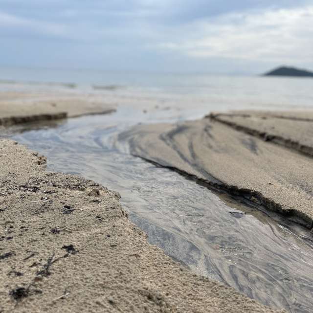 Weather forecasts with beautiful photos by web3dao