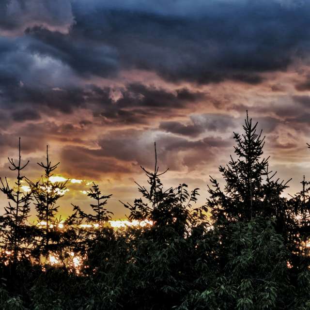 Weather forecasts with beautiful photos by George Popo