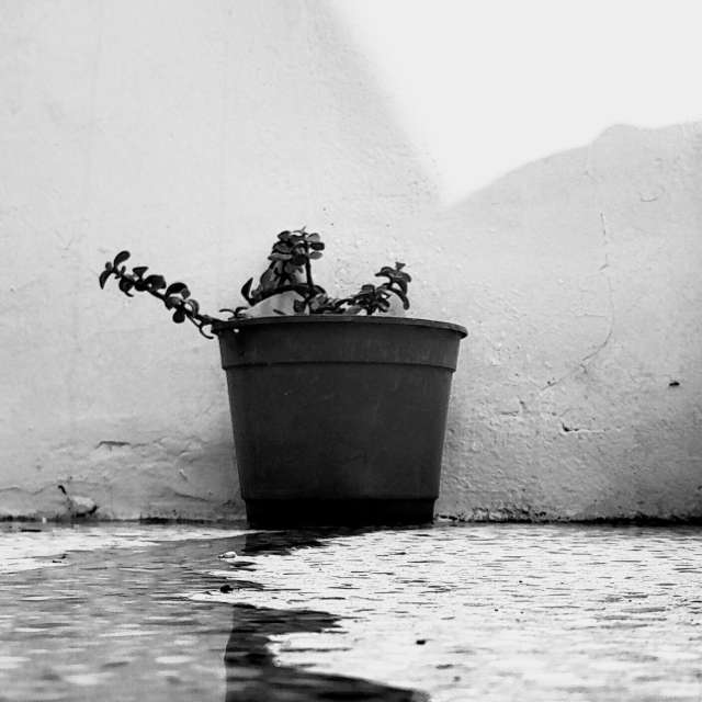 Water. Weather forecasts with beautiful photos by SEBASTIAN14 Photos in Olivos