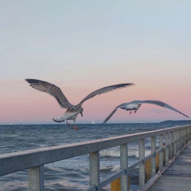 Прогнозы погоды с чудесными фотографиями, сделанными Calendula