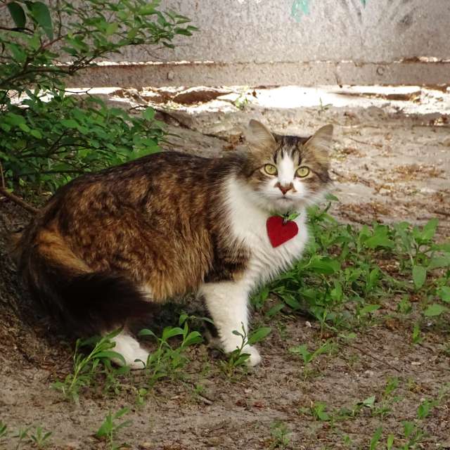 Gray. Weather forecasts with beautiful photos by Михаил Гавриков Photos in Kharkiv