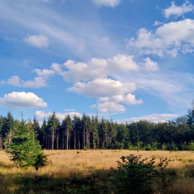 Glasmanの美しい写真による天気予報