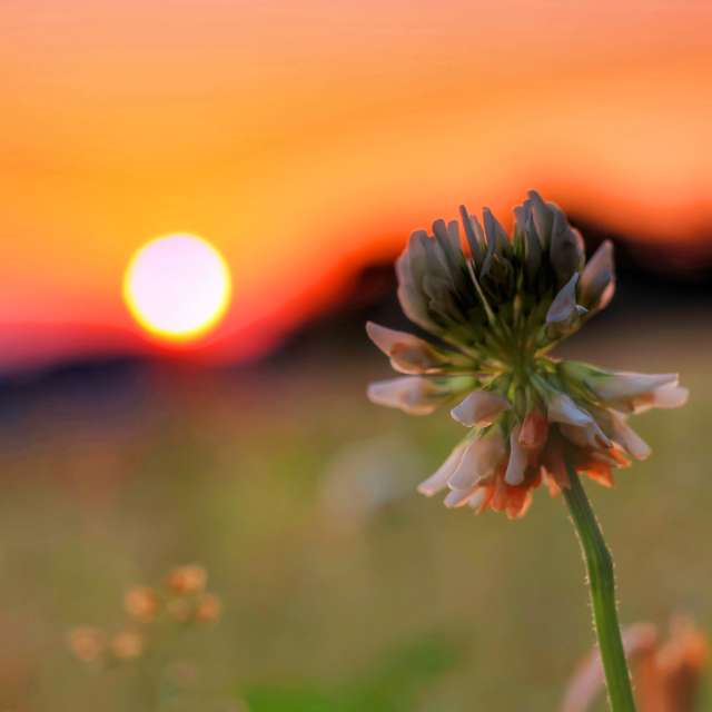 Weather Photos in World. Weather forecasts with beautiful photos by Lotti5507