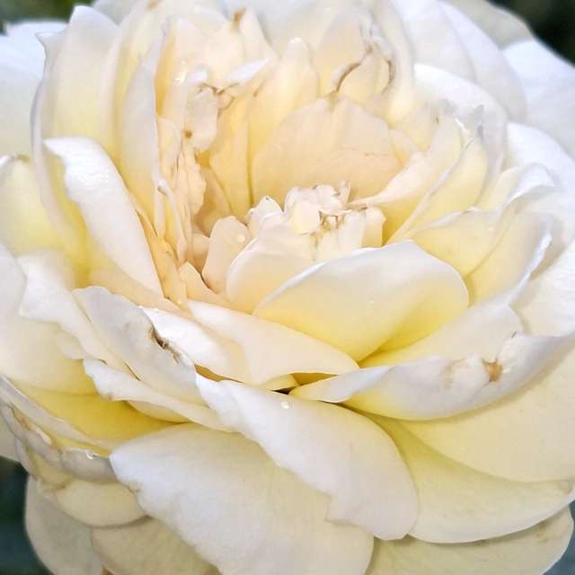 Wettervorhersagen mit schönen Fotos von Wen-ya Huang