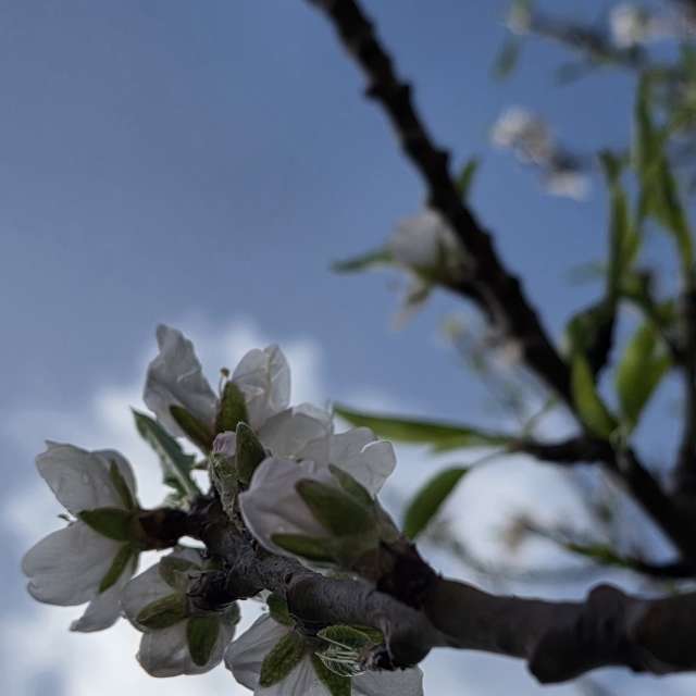 Weather forecasts with beautiful photos by Brtd