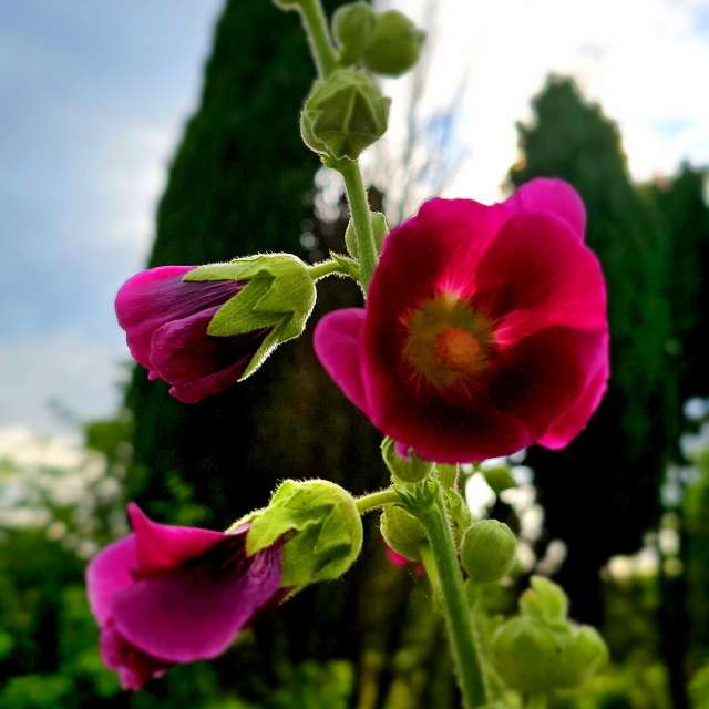 Clear. Weather forecasts with beautiful photos by Seni Photos in Velbert