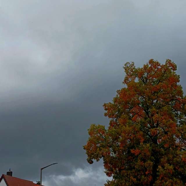Weather forecasts with beautiful photos by vic74furt762