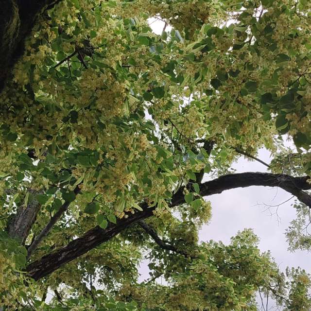 High. Weather forecasts with beautiful photos by Tercis Photos in Ettlingen