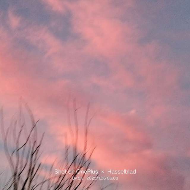 MsSlyの美しい写真による天気予報