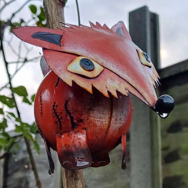 Photos Tableau. Prévisions météo avec de superbes photos de Lolli de Maidstone