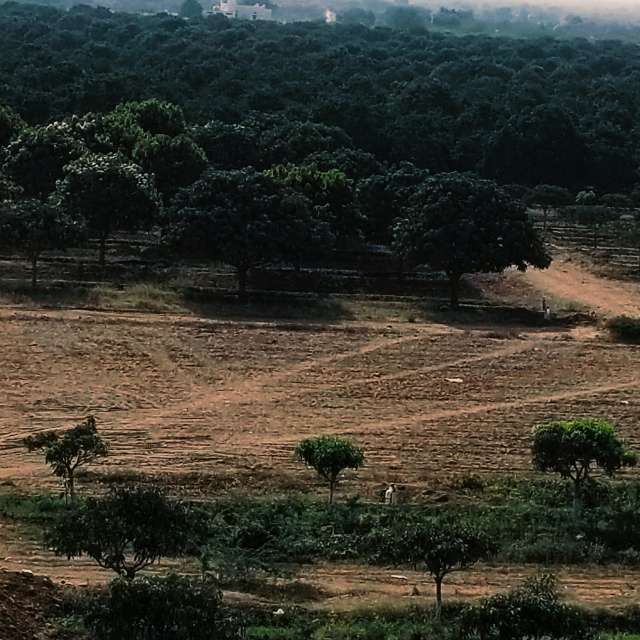 Wetter Photos . Wettervorhersagen mit schönen Fotos von Saroona