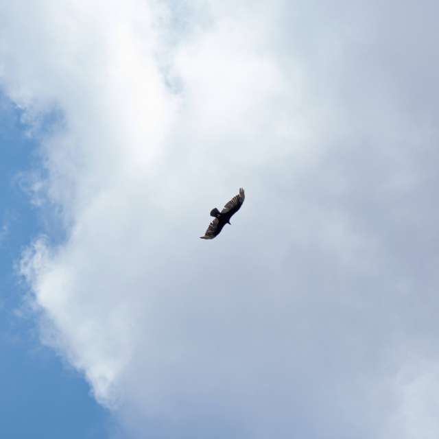 天气预报，带grt90精美的照片