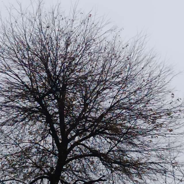 Fotos del Nieve. Pronósticos del tiempo con hermosas fotos de YanBog en București