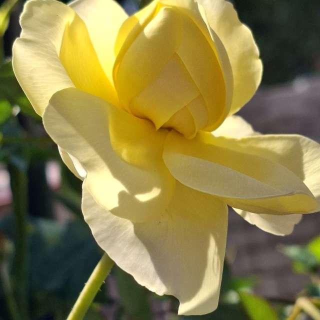 Filling. Weather forecasts with beautiful photos by Wen-ya Huang Photos in Kaohsiung City