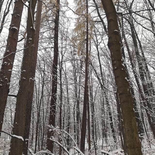 Weather forecasts with beautiful photos by zjabri