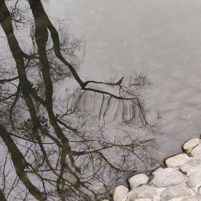 Reflection. Weather forecasts with beautiful photos by IrAl Photos in Kharkiv