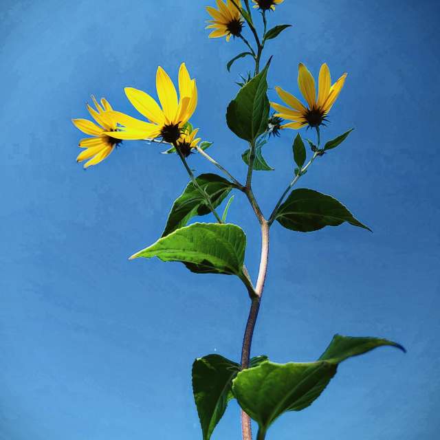 Weather forecasts with beautiful photos by hejpetrpepa