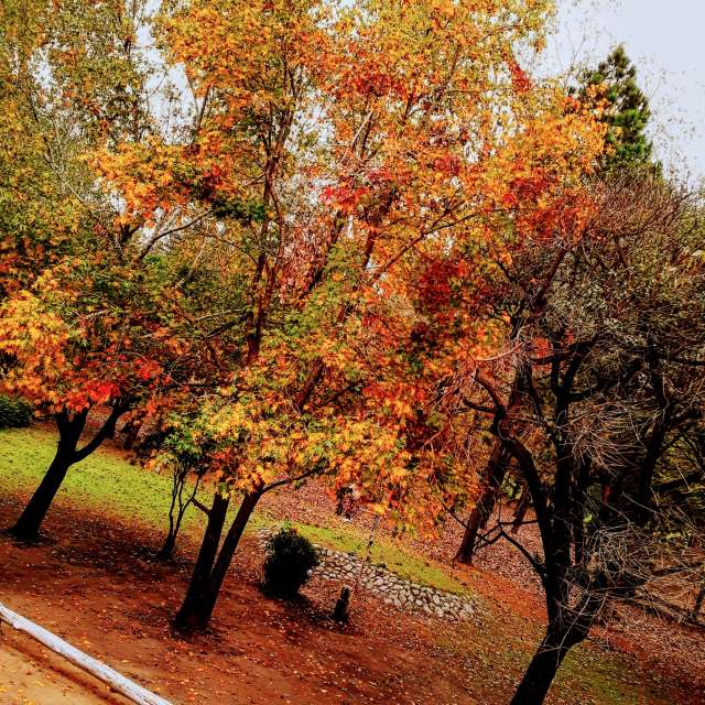 Large. Weather forecasts with beautiful photos by alma_en_foto Photos in Santa Fe