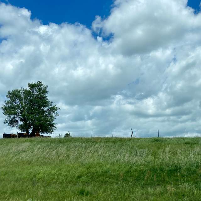 Fotos Grande. Previsões do tempo com lindas fotos de prairiesands em Cansas
