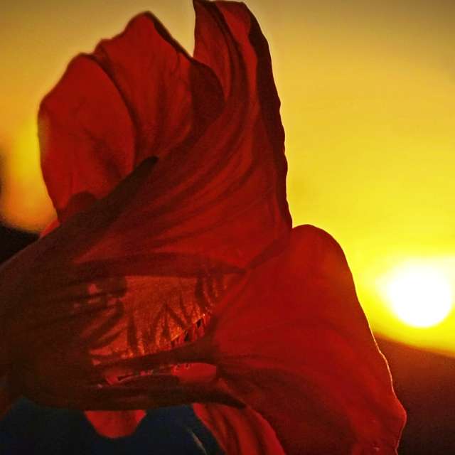 Прогнозы погоды с чудесными фотографиями, сделанными RUMBASTER