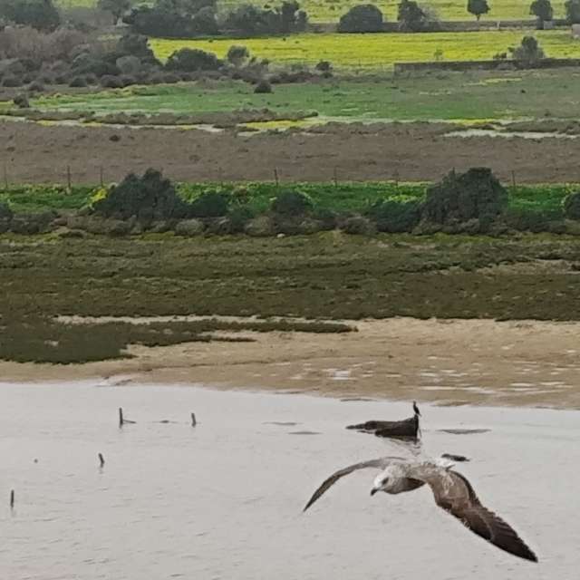 Weather forecasts with beautiful photos by Brtd