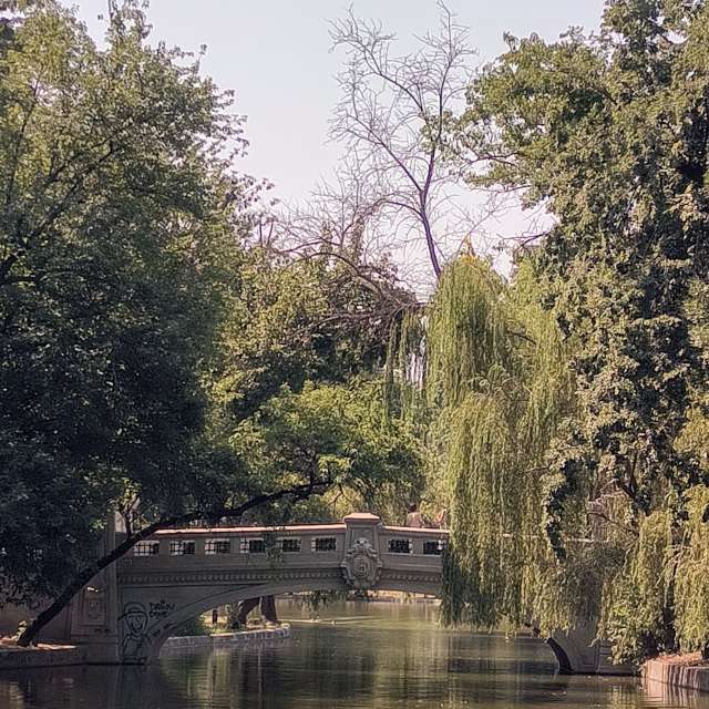 Fotos del De viaje. Pronósticos del tiempo con hermosas fotos de YanBog en București