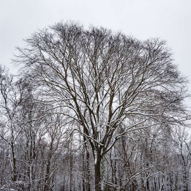 krantzjhの美しい写真による天気予報