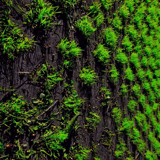 Прогнозы погоды с чудесными фотографиями, сделанными RUMBASTER