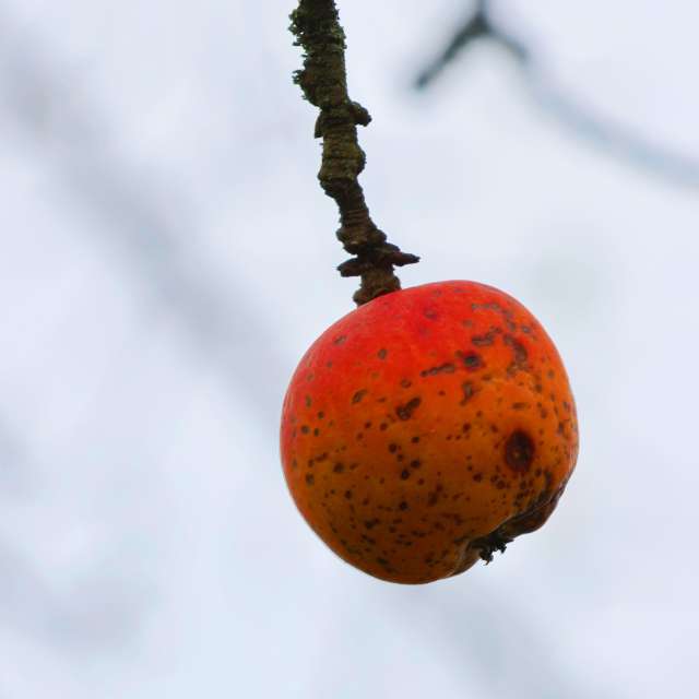 Perched. Weather forecasts with beautiful photos by Lotti5507 Photos in Stockum