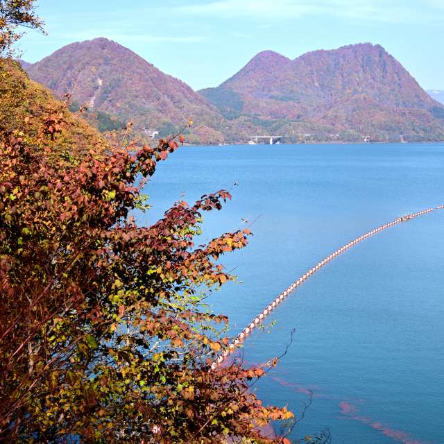 Weather forecasts with beautiful photos by yoshy