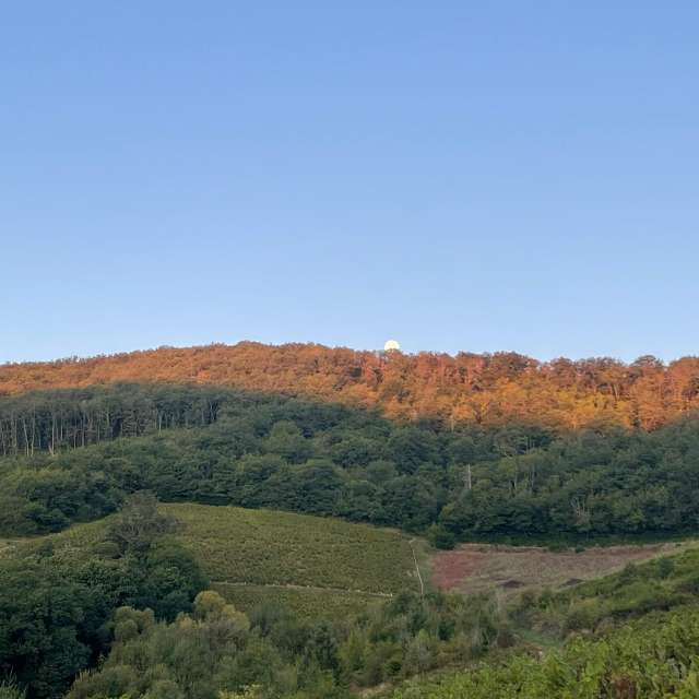 Weather forecasts with beautiful photos by Andbot_