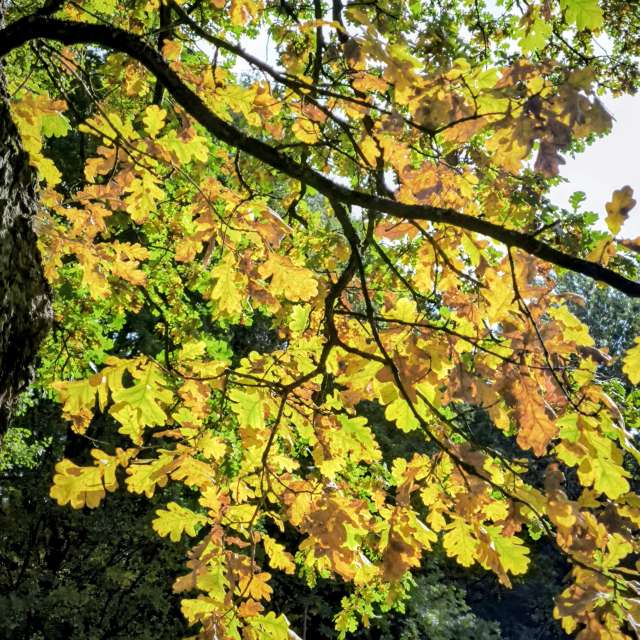 Прогнозы погоды с чудесными фотографиями, сделанными Adraj