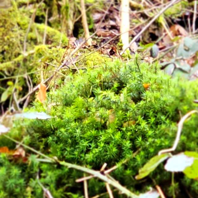 Fotos Sujeira. Previsões do tempo com lindas fotos de Seni em Velbert