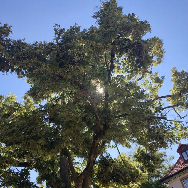 Tower. Weather forecasts with beautiful photos by Tercis Photos in Ettlingen