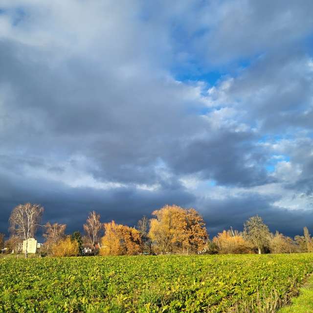 Weather forecasts with beautiful photos by aida-khaldi